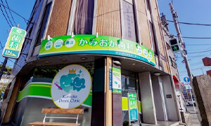下丸子駅・かみおか歯科